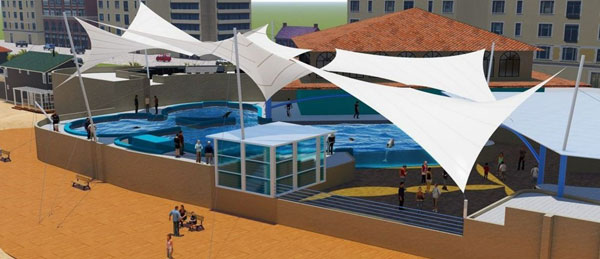 Tensile Swimming Pool Structure Rohtak